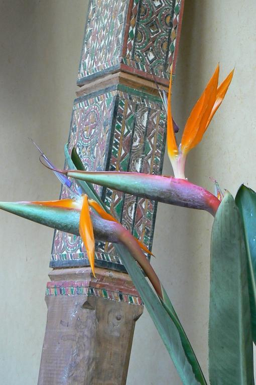 Bed and Breakfast Tigmi Nomade Tahanaout Exterior foto
